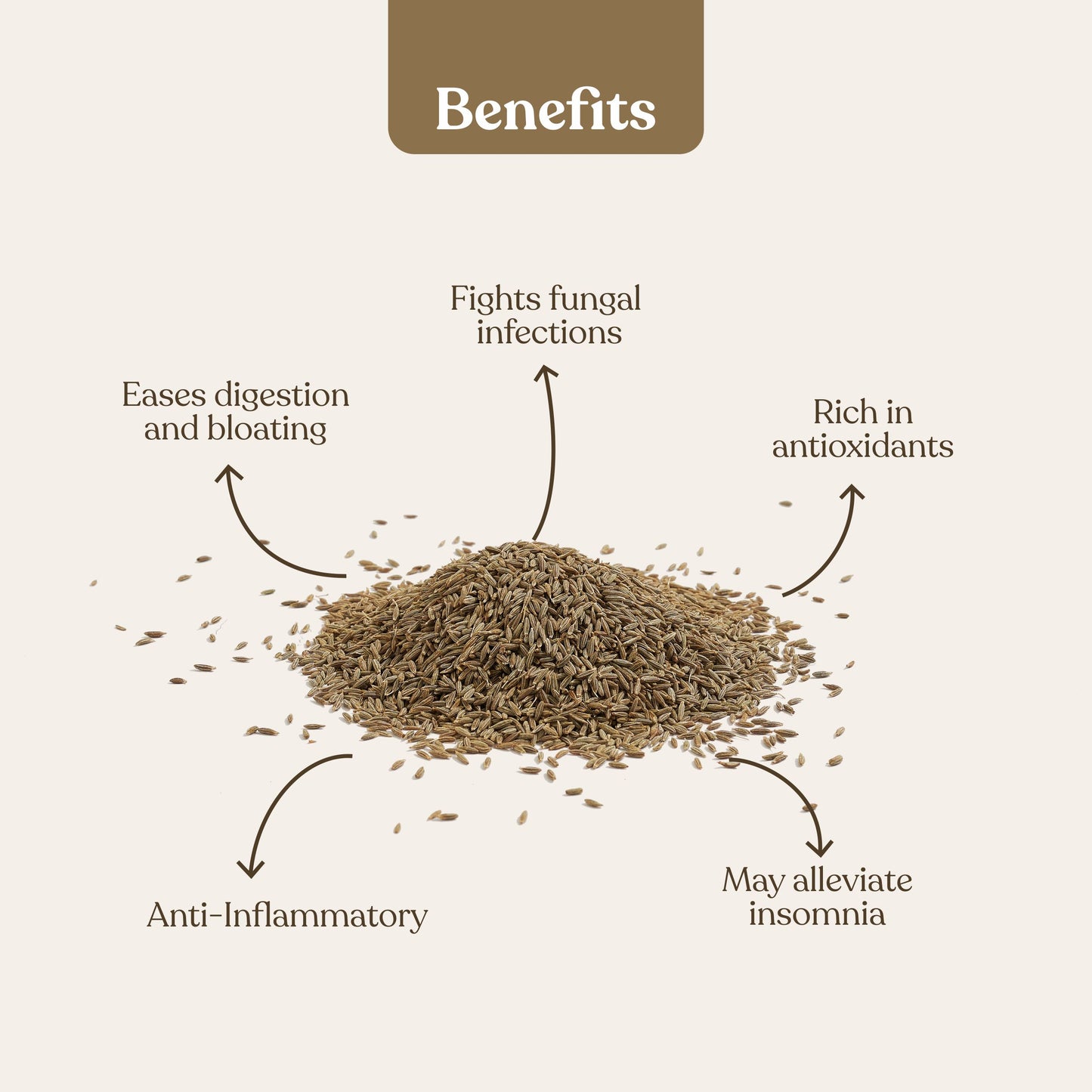 Cumin Seeds (जीरा)